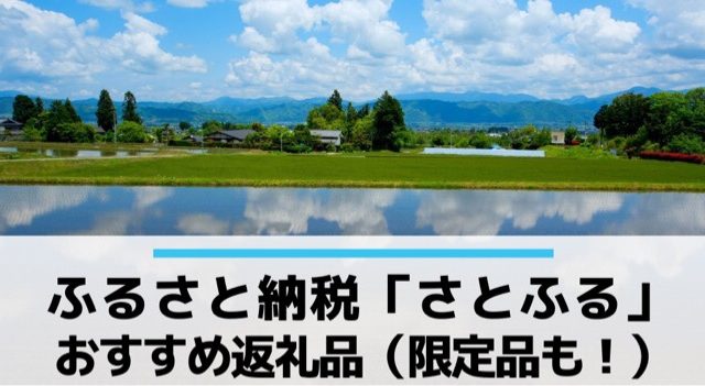 ふるさと納税おすすめサイト「さとふる」のおすすめ返礼品(限定品も!)