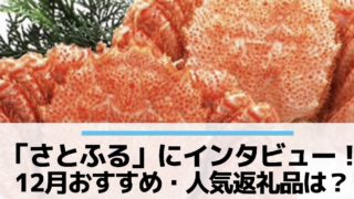 ふるさと納税おすすめ返礼品12月さとふるインタビュー