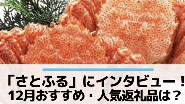 ふるさと納税おすすめ返礼品12月さとふるインタビュー
